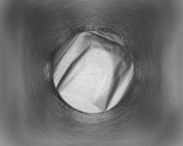 X0000051270038200507082254