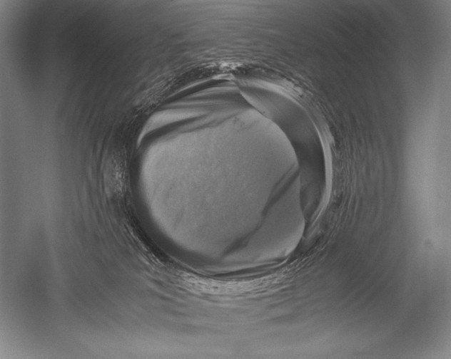 X0000051270039200507082254