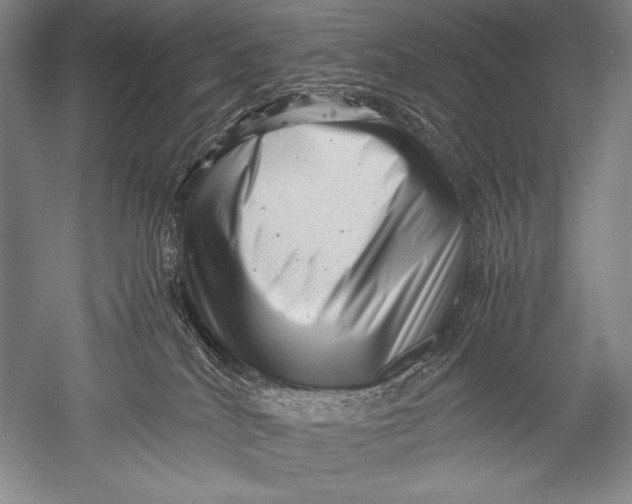 X0000051270040200507082254