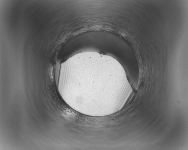 X0000051270041200507082254