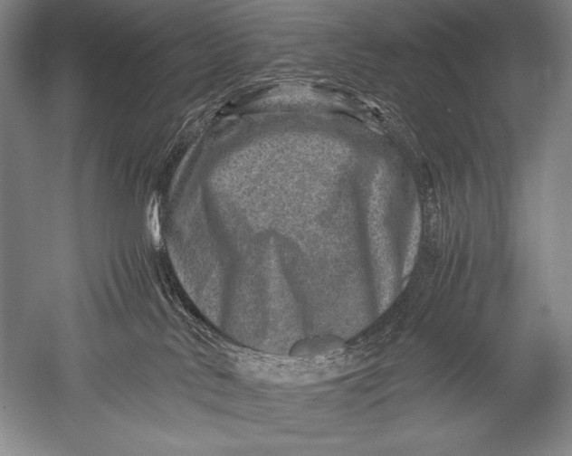X0000051270042200507082254
