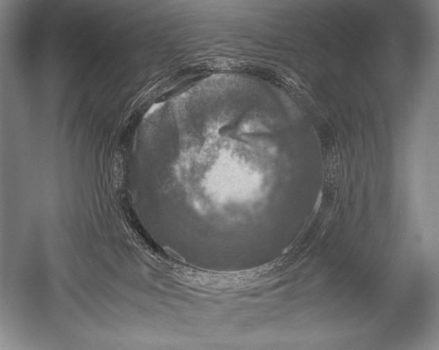 X0000051270043200507082254