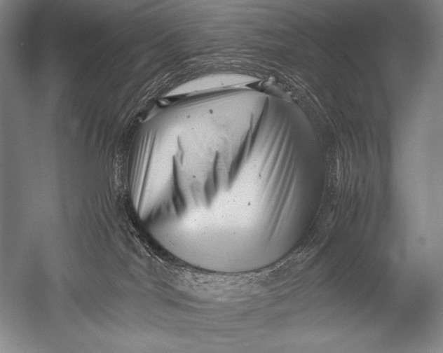 X0000051270044200507082254