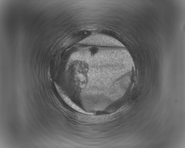 X0000051270048200507082254