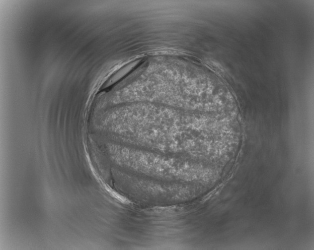 X0000051270049200507082253