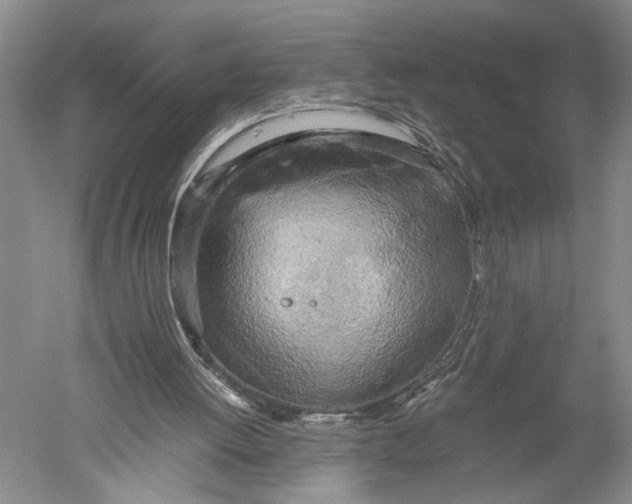 X0000051270052200507082253