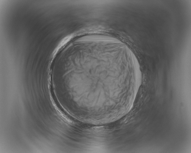 X0000051270054200507082253
