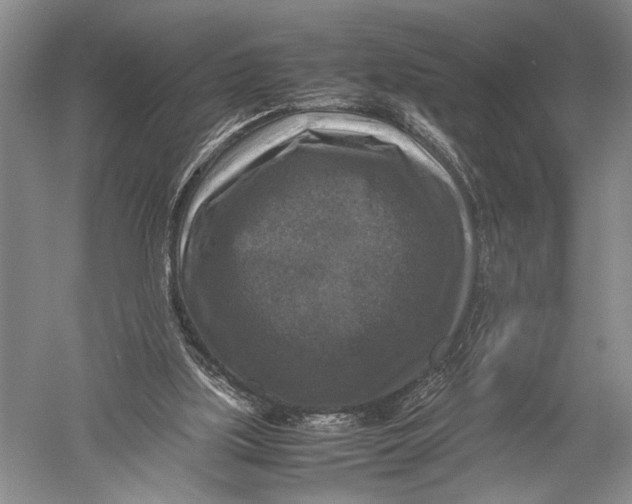 X0000051270059200507082254