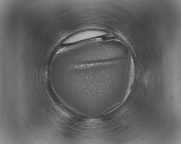 X0000051270063200507082254