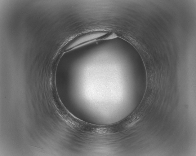 X0000051270064200507082254