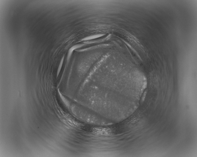 X0000051270073200507082254