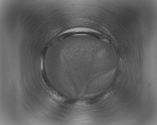 X0000051270076200507082254