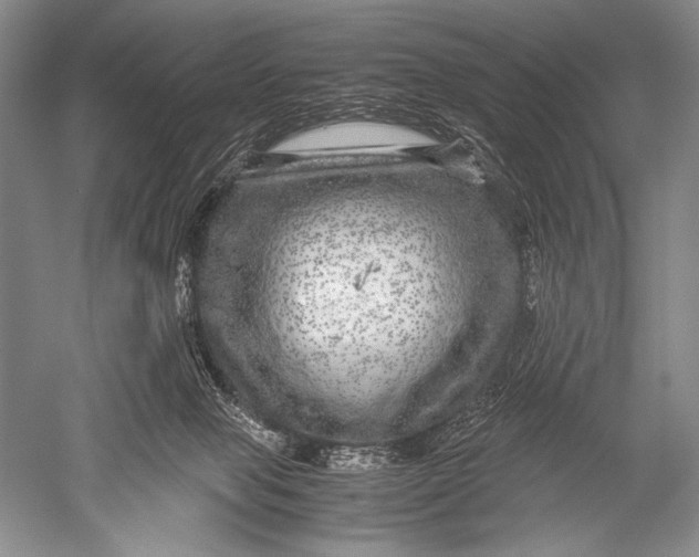 X0000051270077200507082254