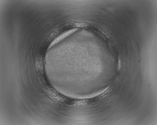 X0000051270078200507082254