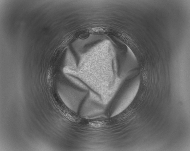 X0000051270079200507082254