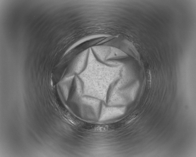 X0000051270080200507082254