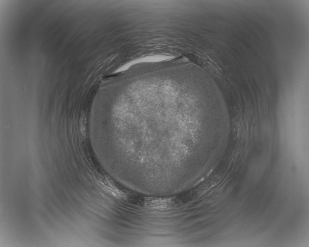 X0000051270081200507082254