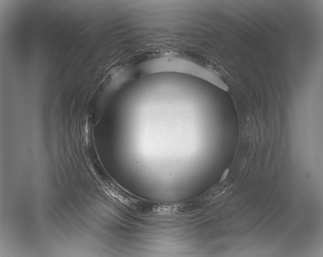 X0000051270084200507082254