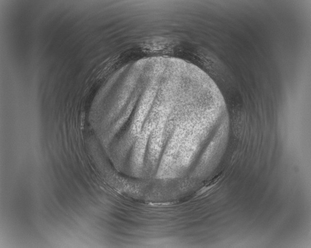 X0000051270085200507082254