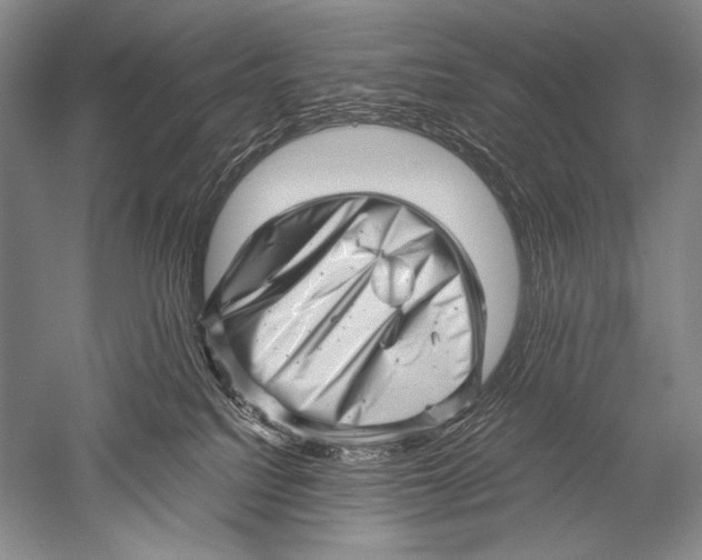 X0000051270088200507082254