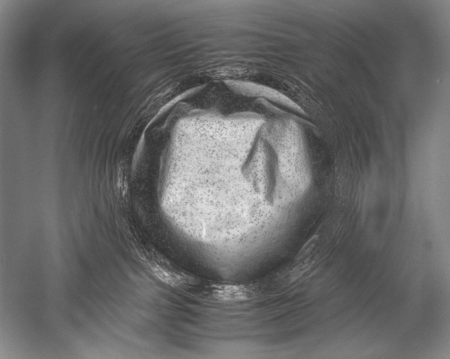 X0000051270091200507082254