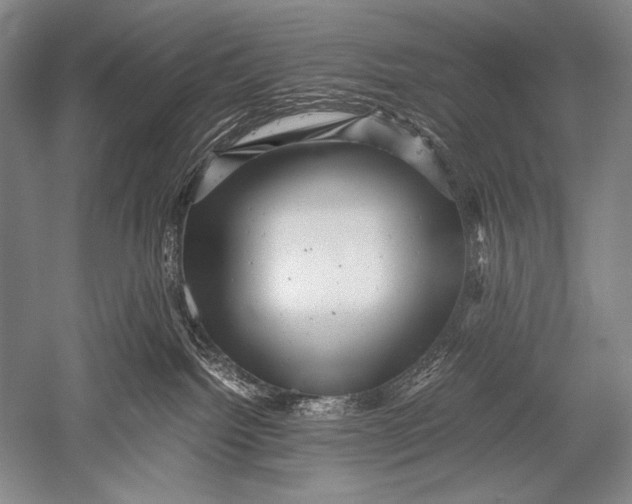 X0000051270092200507082254