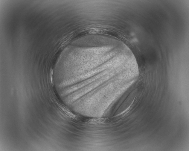 X0000051270094200507082254