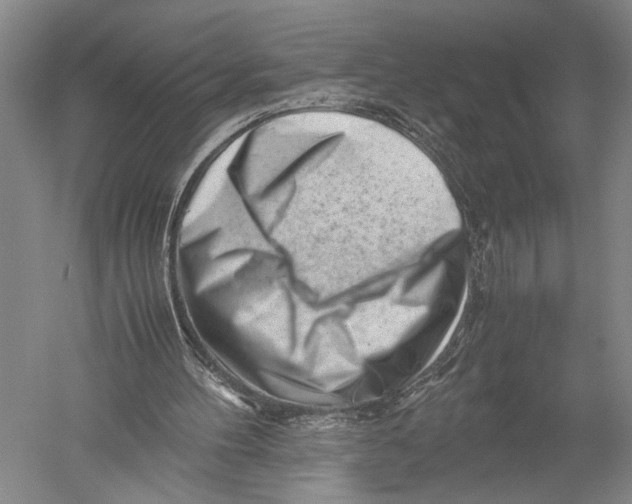 X0000051270100200507082253
