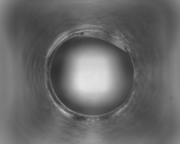 X0000051270101200507082253