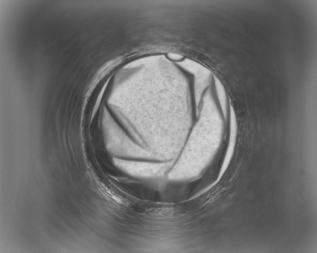 X0000051270104200507082253