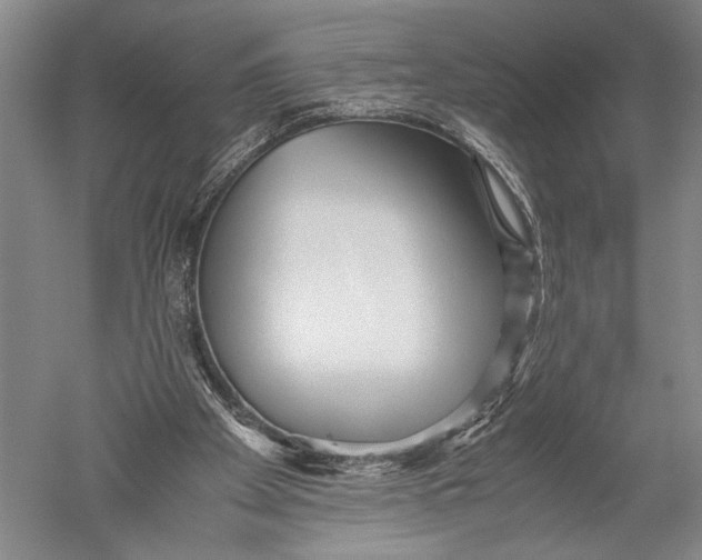 X0000051270105200507082253