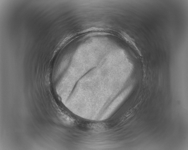 X0000051270106200507082253