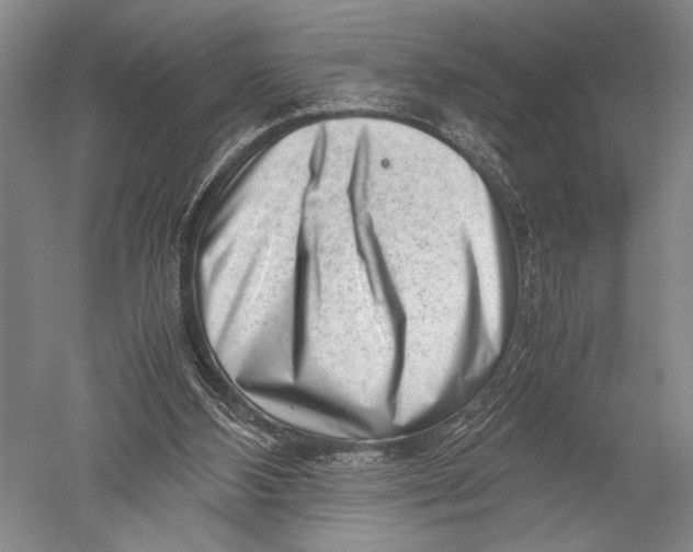 X0000051270108200507082253