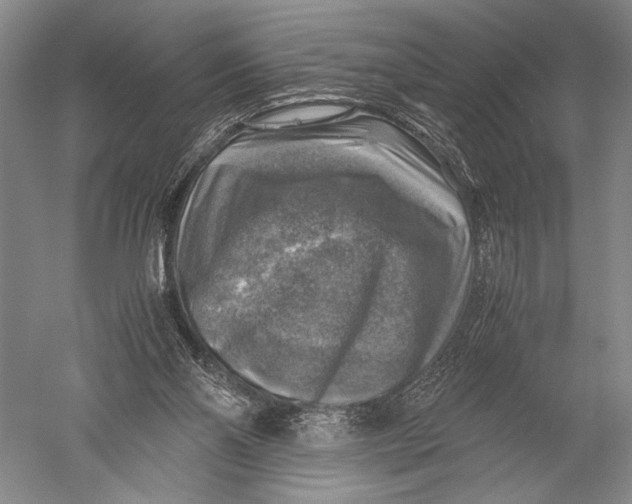X0000051270110200507082253