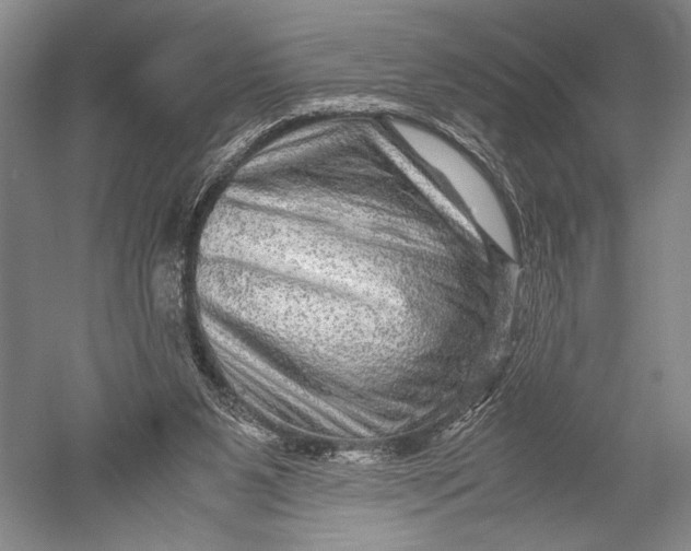 X0000051270111200507082253