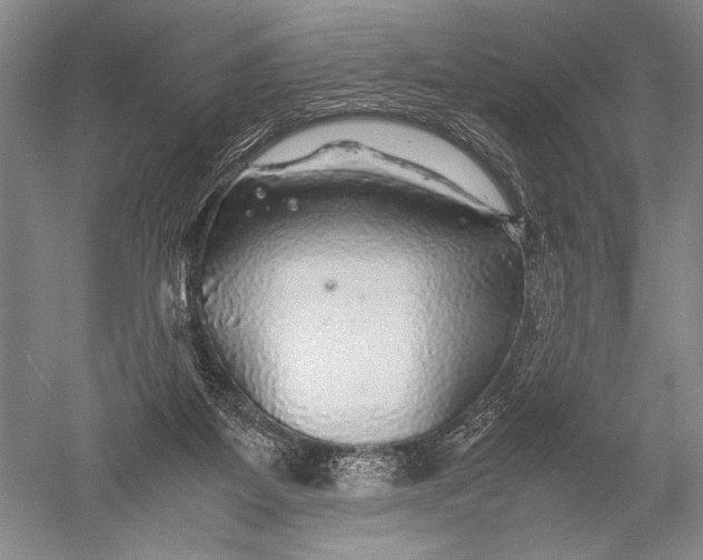 X0000051270115200507082253