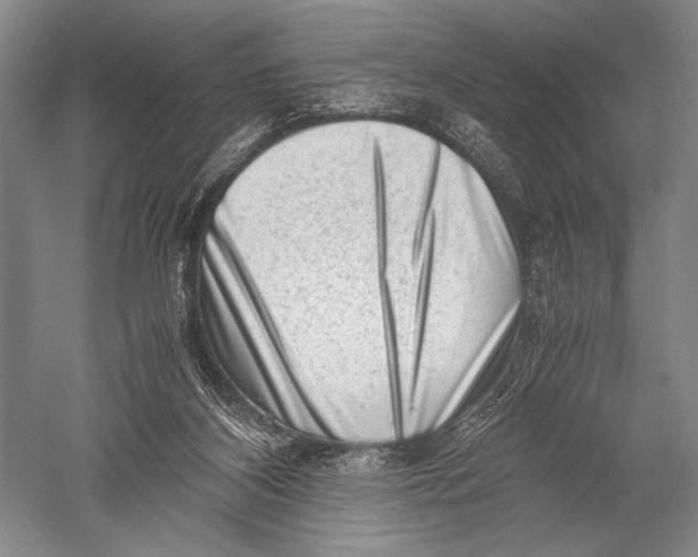 X0000051270116200507082253