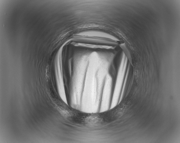 X0000051270119200507082253