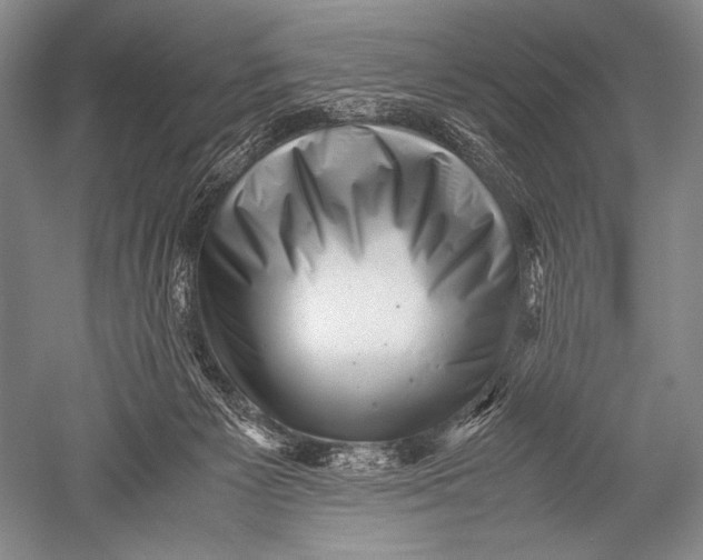 X0000051270125200507082253