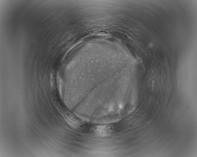 X0000051270130200507082253