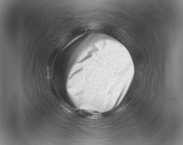 X0000051270135200507082253