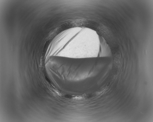 X0000051270139200507082253