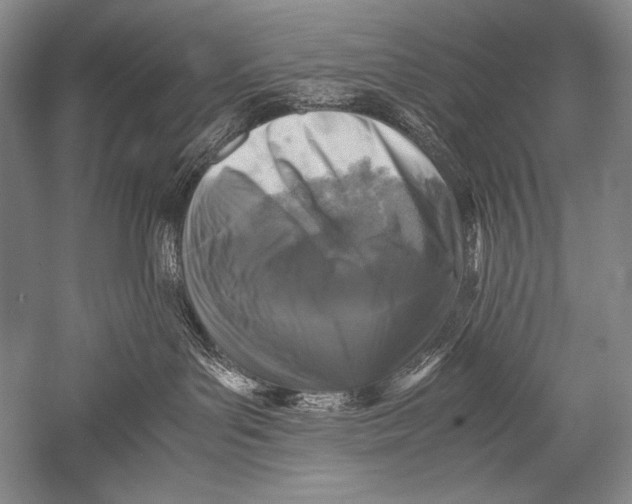 X0000051270143200507082253