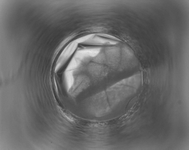X0000051270147200507082252