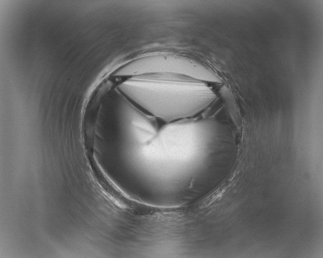 X0000051270150200507082252