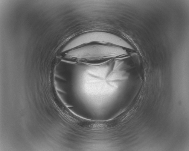 X0000051270154200507082252