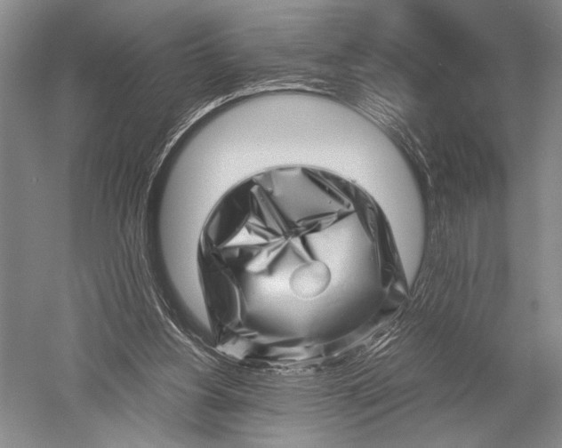 X0000051270156200507082252