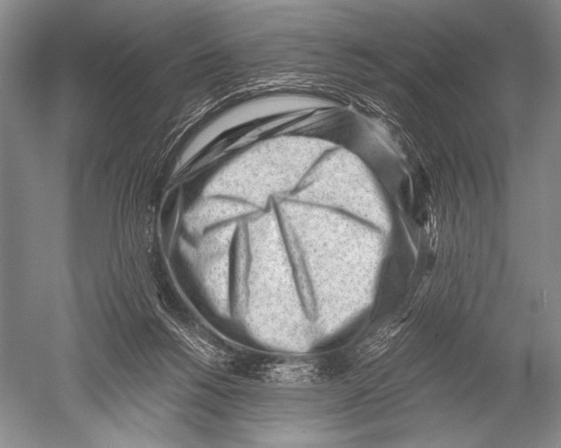 X0000051270168200507082252
