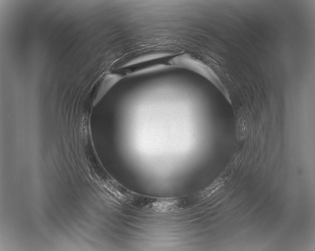 X0000051270172200507082252