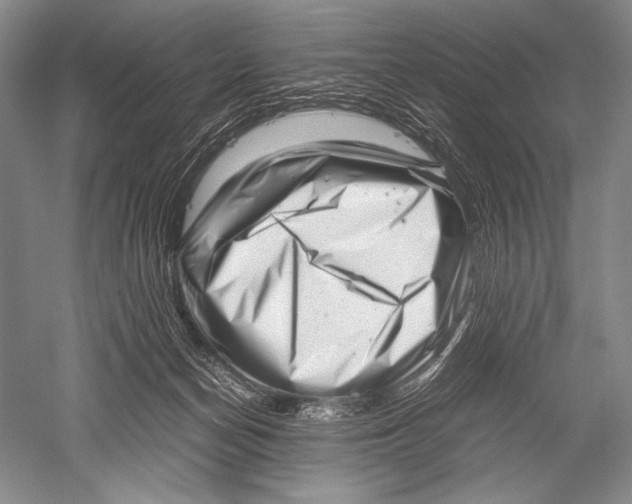 X0000051270174200507082252